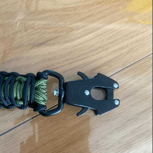 Laisse pour chien