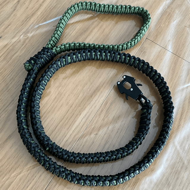 Laisse pour chien