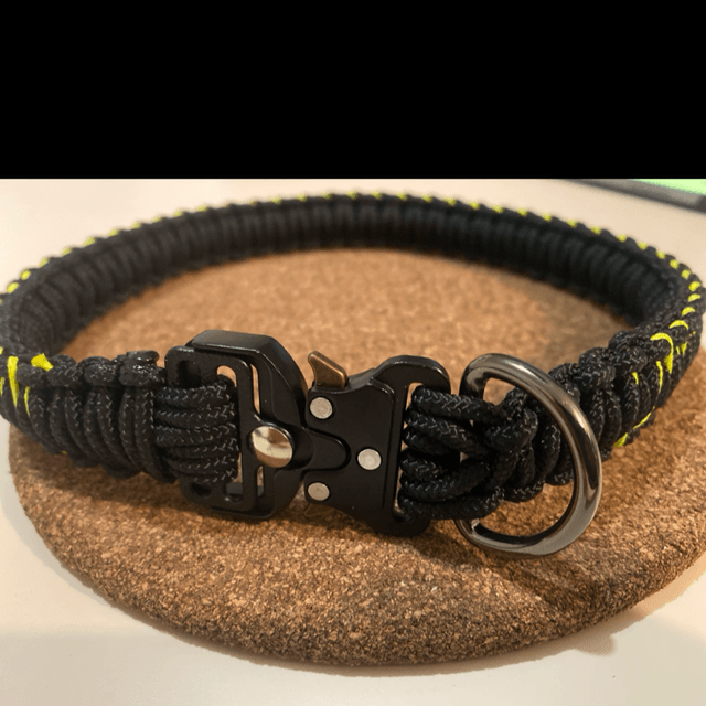 Collier chien salamandre jaune 